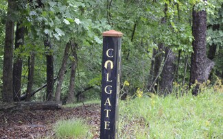 L820 Colgate Ct, Ellijay, GA 30540