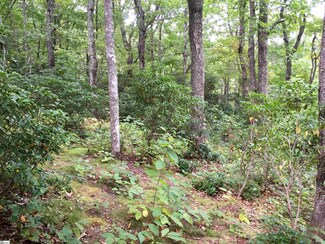 401 Panther Mountain Rd, Zirconia, NC 28790