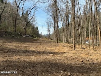 439 Caney Creek Rd, Pigeon Forge, TN 37863