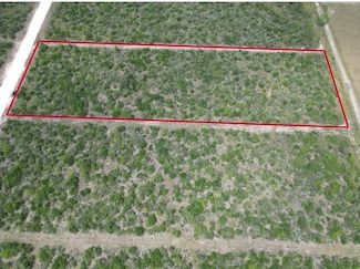 7401 Corrigan Ranch Drive- Tract 28, Skidmore, TX 78389