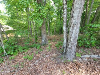 130 Pineridge Loop, Crossville, TN 38558