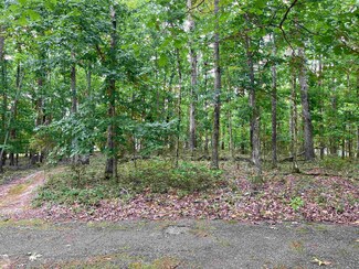 LOT 155 Sandpiper Point, Counce, TN 38326