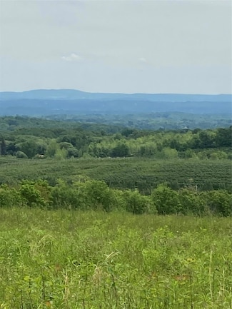 73 Peach Ln, Clintondale, NY 12515