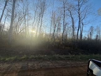 10 Acres Easton Rd, Buckeye Township, MI 48624