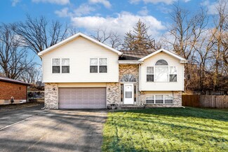 16474 Belleplaine Dr, Markham, IL 60428