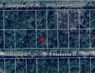 212 Rosewood St, Georgetown Cove, FL 32139