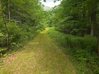 0WP Valley View Sbdvn Lot Unit WP003, Smyrna, NY 13464