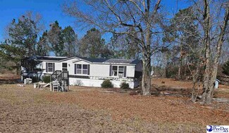 2001 Doe Trail, Dillon, SC 29536