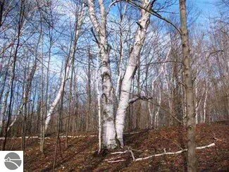 000 Scenic Hwy, Frankfort, MI 49635