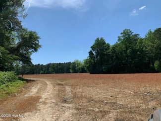1195 Cedar Grove Church Rd, Cerro Gordo, NC 28430