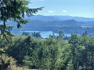 132 Salem Plant Rd, Silver Creek, WA 98585