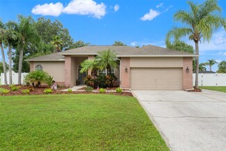3901 Sandalwood Dr, Land O Lakes, FL 34639