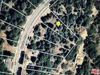 6287 Spruce Ave, Angelus Oaks, CA 92305