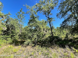 16147 Sheldrake Loop, Weeki Wachee, FL 34614