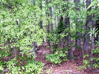 00 Bunn Elementary School, Bunn, NC 27508