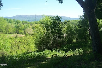 Tract 1 Chapman Hwy, Seymour, TN 37865