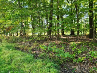 7326 State Route 19 Unit 11 Lot 40, Mount Gilead, OH 43338
