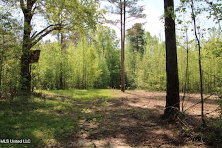 0 Newport Rd Unit 23906458, Lexington, MS 39095
