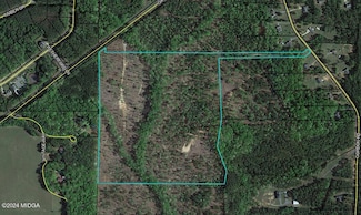 6000 block Highway 42, Forsyth, GA 31029