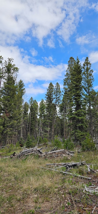 000 Bear Gulch Rd, Lincoln, MT 59639
