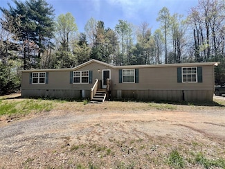 343 Daytona Ln, Saluda, NC 28773