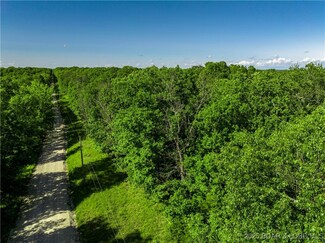 000 Geronimo Springs Rd, MacKs Creek, MO 65786