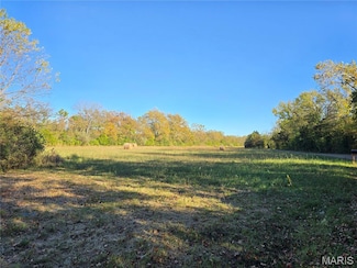 3966 College Rd, St. Francois Township, MO 63640