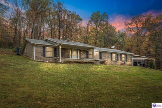 820 Mccrary Rd, Guston, KY 40142