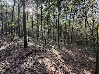 10075 Youngstowne Dr, Semmes, AL 36575