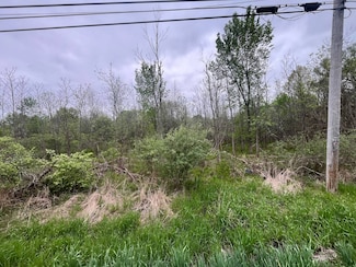 5680 Thompson Rd, Clarence Center, NY 14032