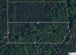 4.87 Acres Tract "E2" Off Butler Cup Rd, Pamplico, SC 29583