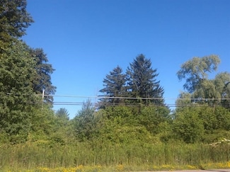 Lot 11 Rt 618, Conneaut Lake - Cra, PA 16316
