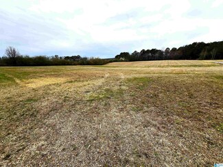 0 County Road 1435 Unit Acreage 21378457, Cullman, AL 35058