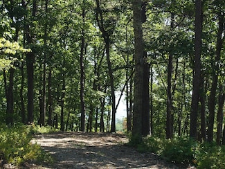1050 Wilson Ridge, White Sulphur Springs, WV 24986