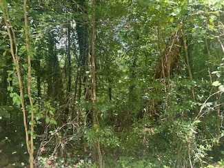 0 College Hill Rd, Jasper, AL 35501