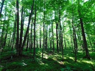 80 Acres County Road O, Ogema, WI 54459