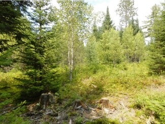 Lot 8.4 Homestead Ln, Dalton, NH 03598