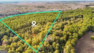 0 Massey Rd Unit 10654939, Tennille, GA 31089