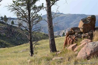 0 None Unit 80648, Wheatland, WY 82201