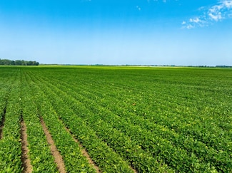 Lawrence Road 737 and 556, Alicia, AR 72410