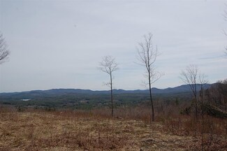 0 Meadow Rd Unit Lot 49 4834595, Newbury, NH 03255