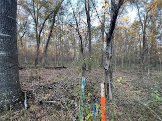 1 An County Road 354, Palestine, TX 75801