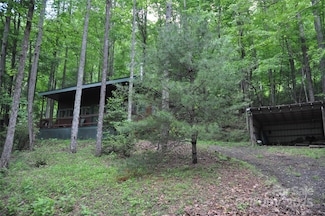 4091 Big Ivy Rd, Purlear, NC 28665
