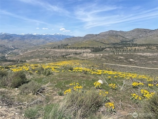 0 High Ranch Rd, Methow, WA 98834
