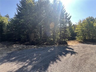 1105 Pardeeville Rd, Russia, NY 13324