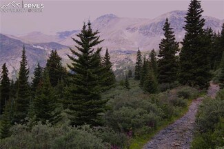 0 Forest Service 408 Rd Unit 9519882, Alma, CO 80420