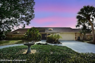 4269 River Birch Dr, Spring Hill, FL 34607