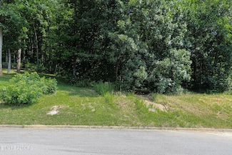 Lot 41-R1 Bobbie Jean Ln, Seymour, TN 37865