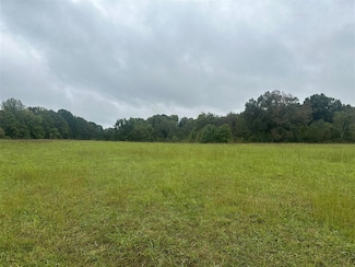 0 C W Jones Rd, Scottsville, KY 42164
