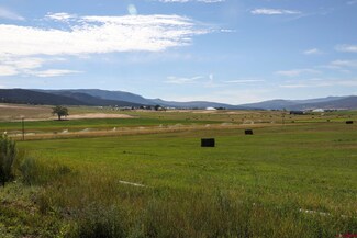 Tract 16 Bostwick Park Rd, Montrose, CO 81401